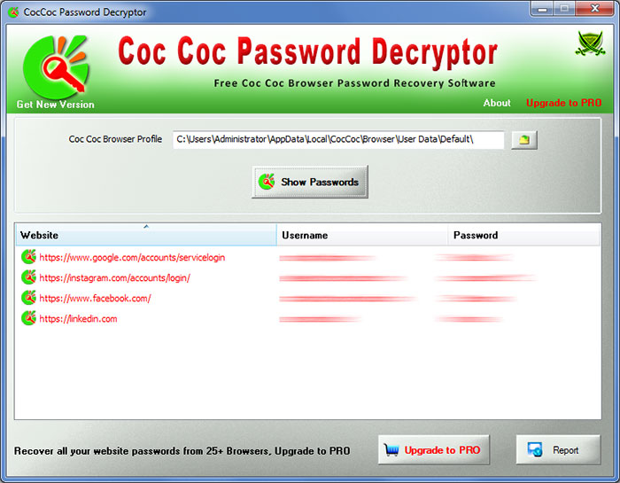 Coc Coc Password Decrytor recovering passwords