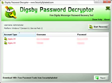 DigsbyPasswordDecryptor showing recovered passwords