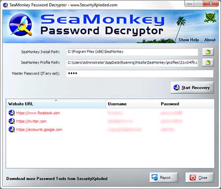 SeaMonkeyPasswordDecryptorshowing the Chrome Secrets